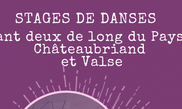 Stage de danse